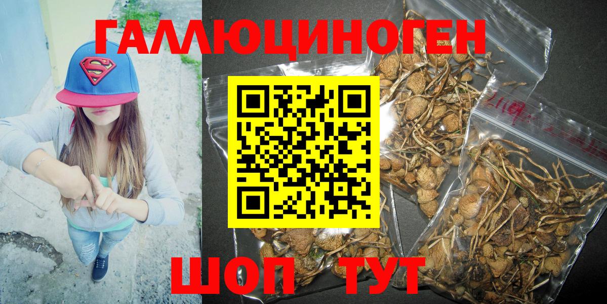 Мценск  Галлюциногенные грибы Psilocybine cubensis  Псилоцибиновые грибы Psilocybe  Вход с VPN 