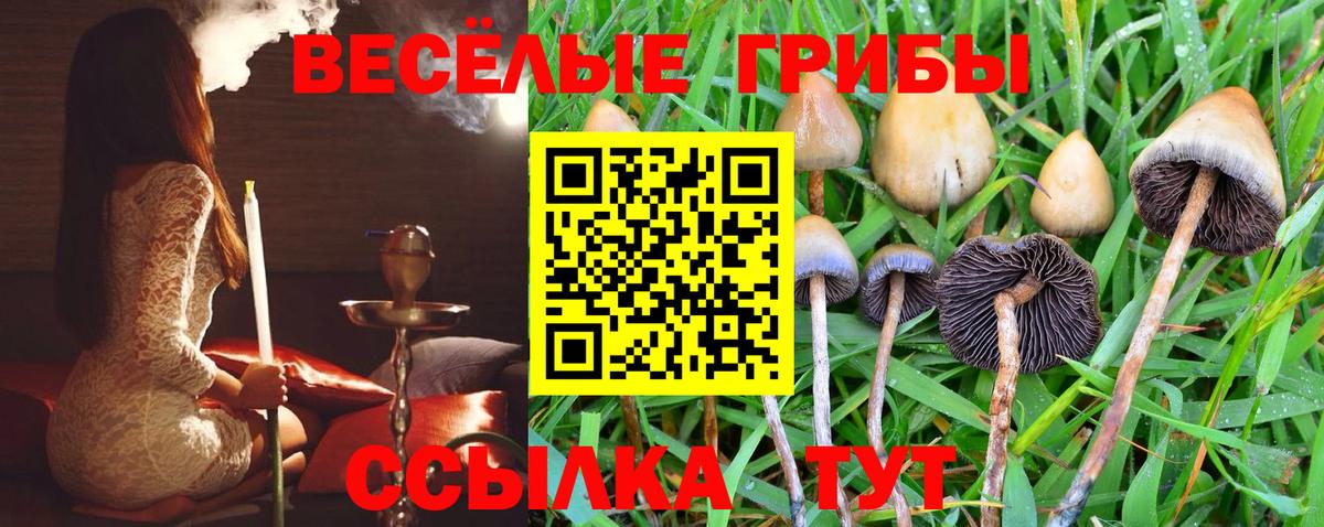 Псилоцибиновые грибы мицелий Мценск